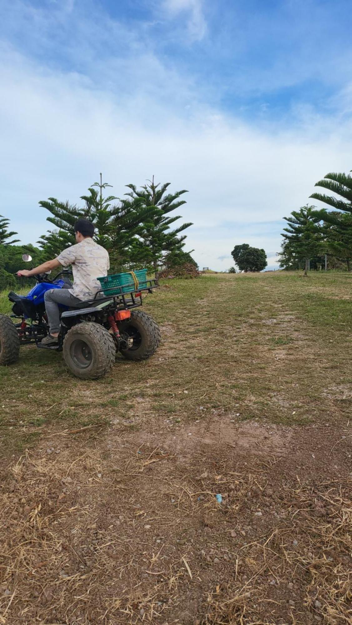 Smile Farm At Khaokho