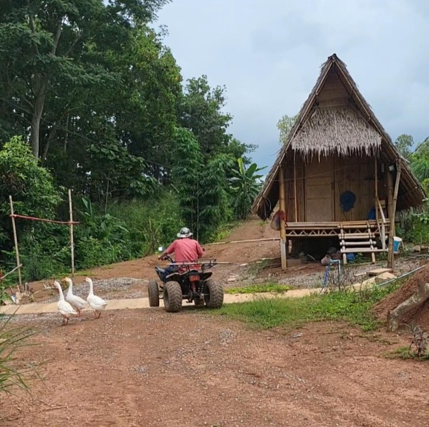 Smile Farm At Khaokho Campsite Ban Thung Samoe