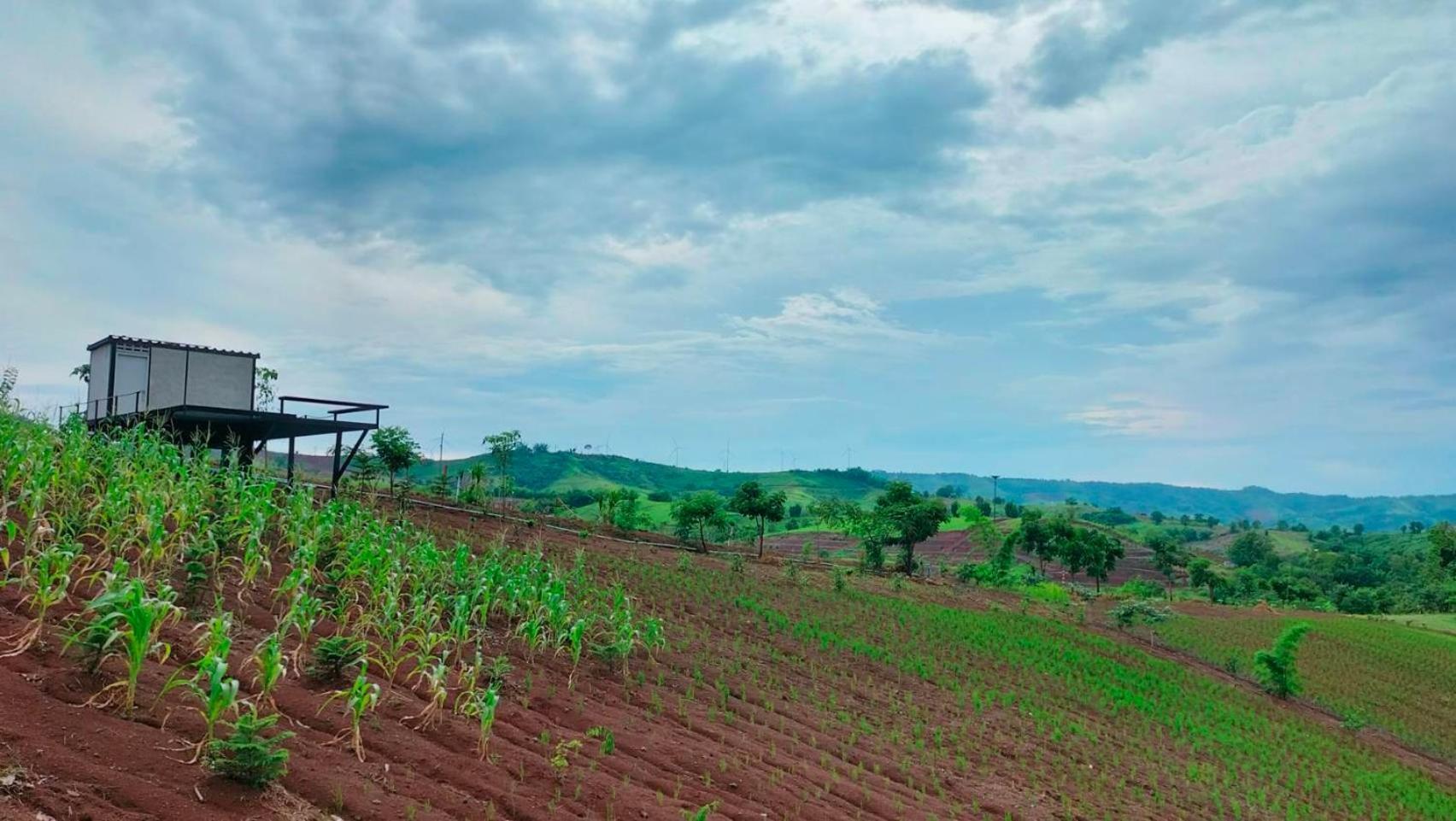 Smile Farm At Khaokho Ban Thung Samoe